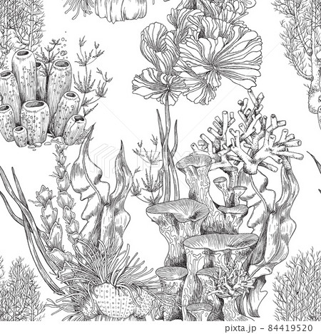 Endless seamless pattern with coral reef plants, vintage vector illustration. 84419520