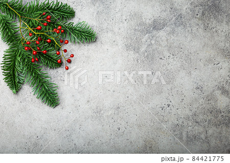 Christmas fir tree branch and red berries background 84421775
