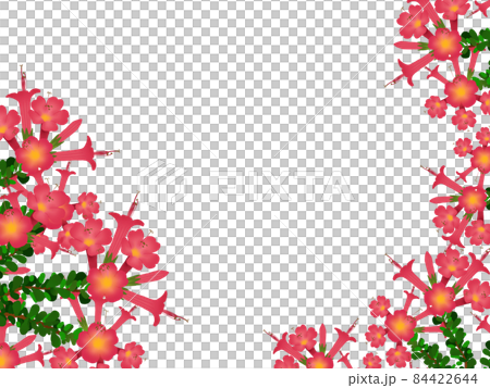 Cantuta 花框 Cantuta 花框 84422644