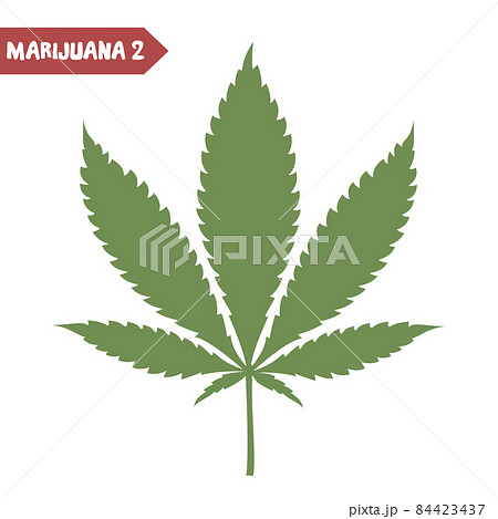 Cannabis leaf isolated on white background. 84423437