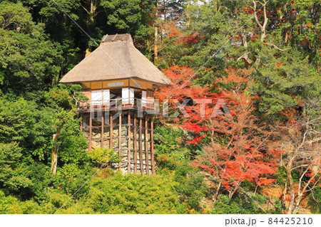 【愛媛県】紅葉の臥龍山荘 【愛媛県】紅葉の臥龍山荘 84425210