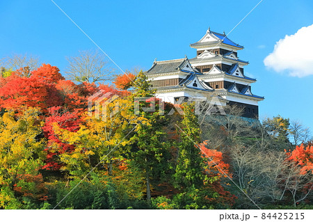【愛媛県】晴天下の大洲城天守閣と紅葉 84425215