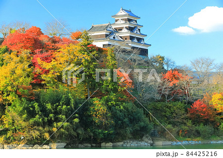 【愛媛県】晴天下の大洲城天守閣と紅葉 84425216