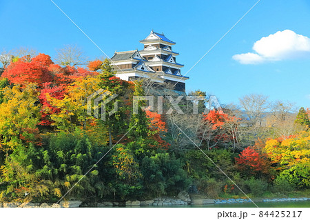 【愛媛県】晴天下の大洲城天守閣と紅葉 【愛媛県】晴天下の大洲城天守閣と紅葉 84425217