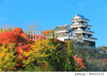 【愛媛県】晴天下の大洲城天守閣と紅葉 84425223