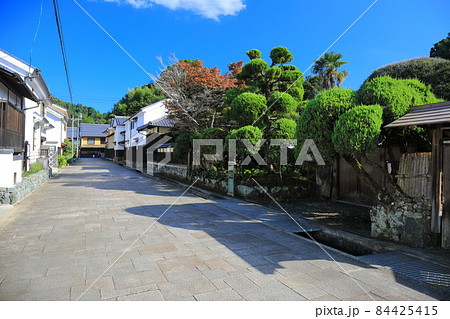 【愛媛県】おはなはん通り 84425415