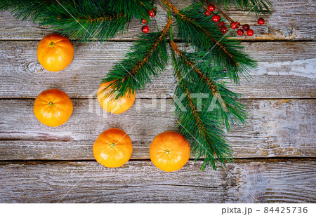 Christmas tree in a pot on tangerines of gifts. Christmas tree in a pot on tangerines of gifts. 84425736