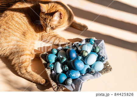 Homemade naturally dyed eggs in blue colors Homemade naturally dyed eggs in blue colors 84425826