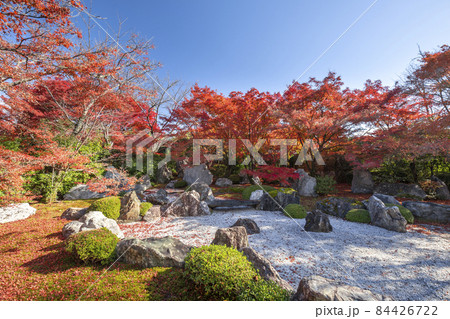 秋の将軍塚青龍殿 84426722