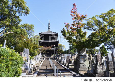 金戒光明寺　三重塔　京都市左京区黒谷 84426956