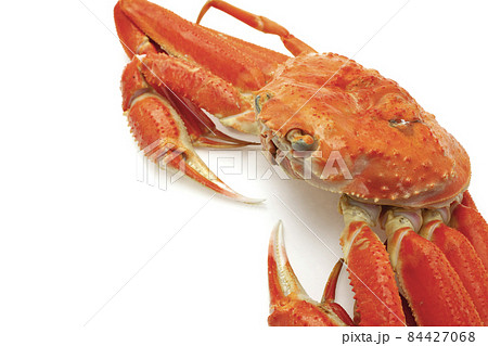 ボイル松葉ガニ ボイル松葉ガニ 84427068