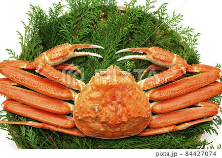 ボイル松葉ガニ ボイル松葉ガニ 84427074