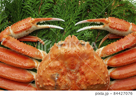 ボイル松葉ガニ ボイル松葉ガニ 84427076