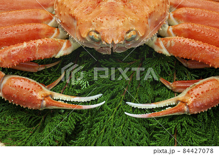 ボイル松葉ガニ ボイル松葉ガニ 84427078