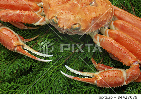 ボイル松葉ガニ 84427079