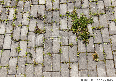 concrete tiles on the road with grass concrete tiles on the road with grass 84427885