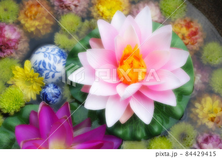 【行田花手水week】行田市の花手水 84429415