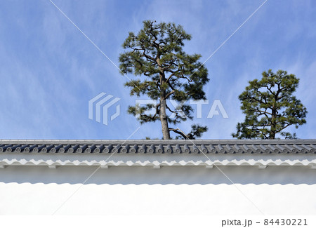 二条城　城壁と松　京都市中京区 84430221