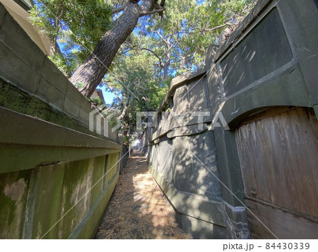 大磯町の古い屋敷街の裏通り小路 84430339