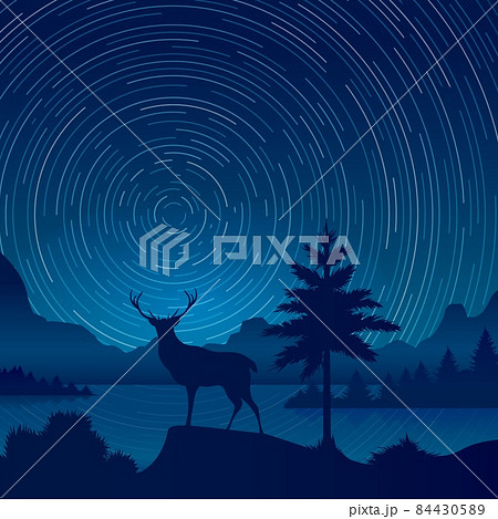 Starry exposure landscape Starry exposure landscape 84430589