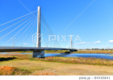 府中四谷橋/多摩川を日野市/下流側より望む(東京都日野市)【2021.11】 府中四谷橋/多摩川を日野市/下流側より望む(東京都日野市)【2021.11】 84430841