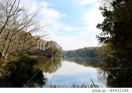湖畔を散策する癒しの秋　風景 84432288