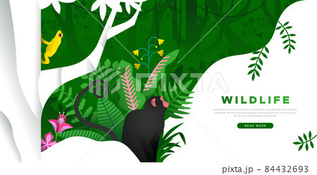 Wildlife landing page template of jungle monkey Wildlife landing page template of jungle monkey 84432693