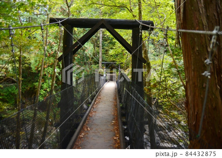 阿寺川に架かる赤彦吊り橋 阿寺川に架かる赤彦吊り橋 84432875