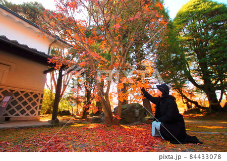 安曇野の旅先で紅葉を楽しむ女性 84433078