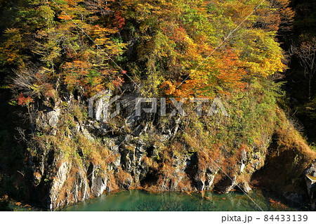 埼玉県秩父市浦山　浦山ダムの秩父さくら湖の紅葉 84433139