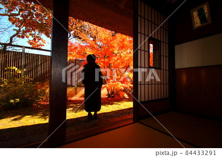 安曇野の旅先で紅葉を楽しむ女性のシルエット 安曇野の旅先で紅葉を楽しむ女性のシルエット 84433291