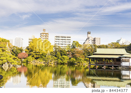 秋の清澄庭園 84434377