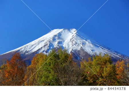 山梨県富士吉田市新屋　富士散策公園からの色づいた木々と富士山 84434378