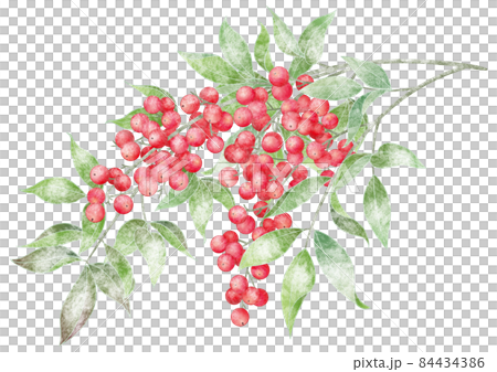 Snow red southern sky 84434386