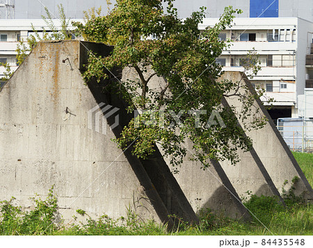 大正陸軍飛行場跡地 大正陸軍飛行場跡地 84435548