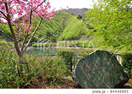 <ふかしろ湖> 深城ダム 山梨県大月市 <ふかしろ湖> 深城ダム 山梨県大月市 84436805