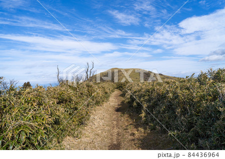 古稀山から達磨山へ向かう登山道（伊豆山陵） 84436964