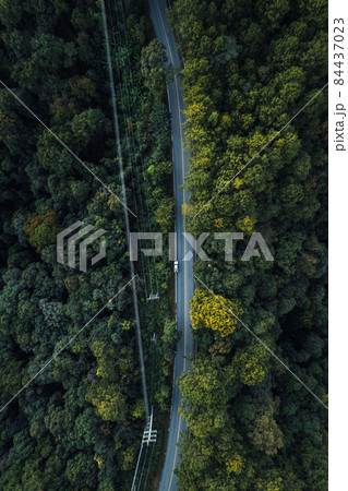 Drone view over a road through a forest 84437023