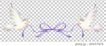 Two white birds with purple ribbons Hand-painted colored pencil drawings 84437874