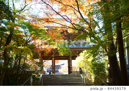 紅葉に浮かぶ功山寺山門 紅葉に浮かぶ功山寺山門 84439379