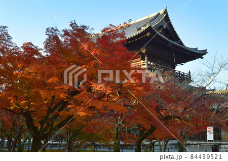 2021年晩秋に参拝した真っ赤な紅葉越しの京都南禅寺の三門が美しい 2021年晩秋に参拝した真っ赤な紅葉越しの京都南禅寺の三門が美しい 84439521
