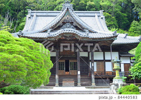 緑涼しい六月の修善寺 84440583