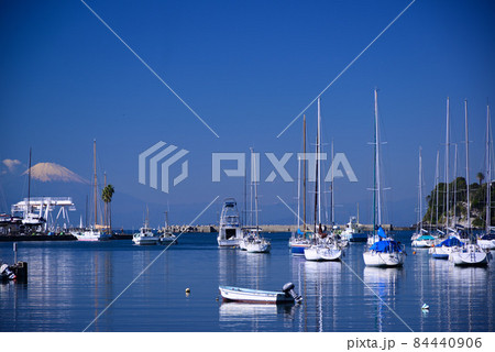 晴れた日の小網代湾 晴れた日の小網代湾 84440906