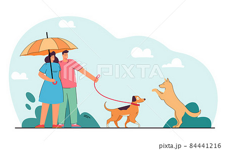 Married couple with umbrella walking dog in park 84441216