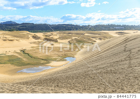 秋の鳥取砂丘　鳥取県鳥取市 84441775