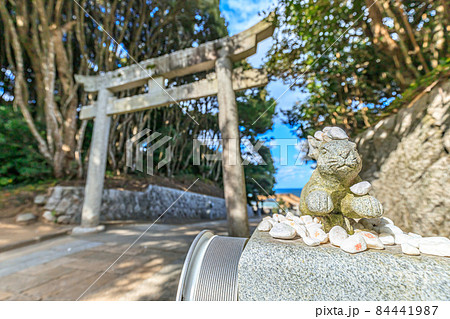 秋の白兎神社 参道 鳥取県鳥取市 秋の白兎神社 参道 鳥取県鳥取市 84441987