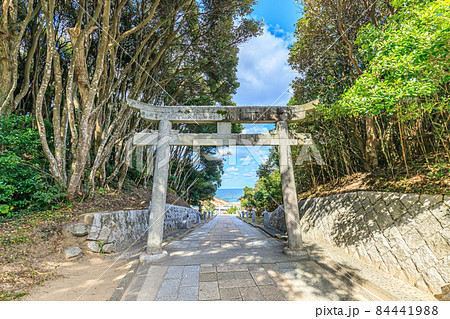 秋の白兎神社 参道 鳥取県鳥取市 秋の白兎神社 参道 鳥取県鳥取市 84441988