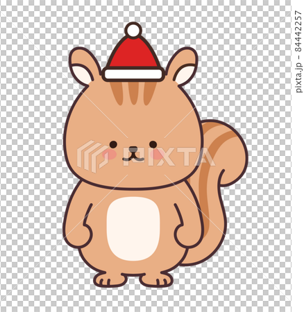 Squirrel illustration wearing a santa hat Squirrel illustration wearing a santa hat 84442257