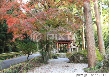 龍穏寺 紅葉 龍穏寺 紅葉 84442816