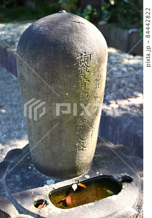 池上散歩:芳心院墓所 万両塚 永寿院境内 池上散歩:芳心院墓所 万両塚 永寿院境内 84442822